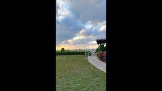 Evenings at Alexandra Resort