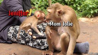 Mom Jolie Entrusts Only Mom KT to Take Care of Jenifer for a Short Time!! Surprise Reveal!