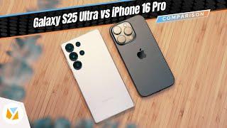 Samsung Galaxy S25 Ultra vs iPhone 16 Pro | Camera Comparison