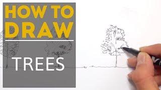 How to Draw a Tree (Easy)