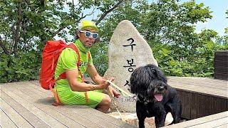 국립공원 보다 이쁘네 . 사람도 네발로 긴다는 진안 구봉산 삽살개  대풍이 도전기