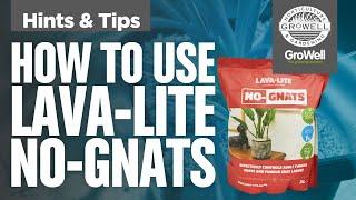 How to use Lava-Lite No-Gnats | Hints & Tips