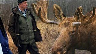  БУХОЙ Рашкин ОПЯТЬ СБИЛ ЛОСЯ... 🫎🫎🫎  Как долго будет продолжаться этот трэш? 