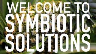 Welcome to Symbiotic Solutions!