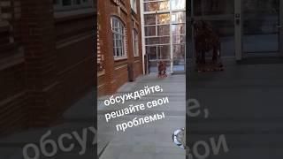 Проблемы.., и их решение #верносказано