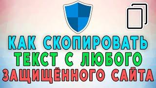 Как скопировать текст с любого сайта. Копируем текст с защищённых сайтов. 