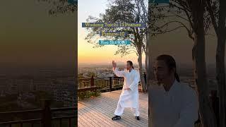 Wudang Taichi 13 Posture, Posture-10