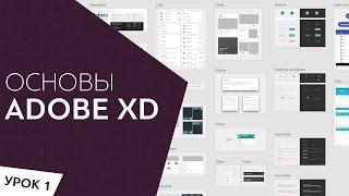 Adobe XD  Обзор программы Урок 1