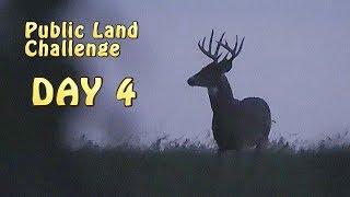 Public Land Challenge Day 4 - DIY Sportsman