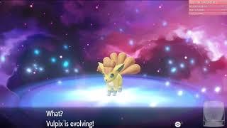 Shiny Ninetails!!! First Shiny in Let's Go Eevee!! SLD!!!