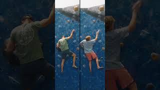 Comparison V5/V6