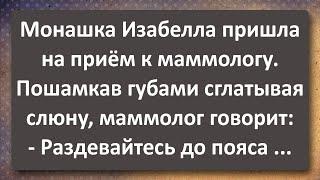 Монашка Изабелла у Маммолога! Сборник Самых Свежих Анекдотов! Юмор!