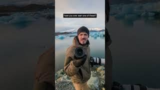 The Best Camera Lens for Wildlife Photography? 