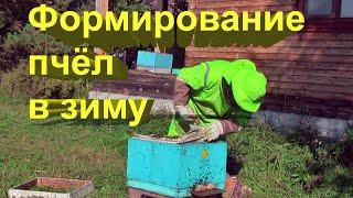 Формирование пчелосемей в зиму. Пасека Сергея Буторина. 11 сентября 2020г. 39 выпуск