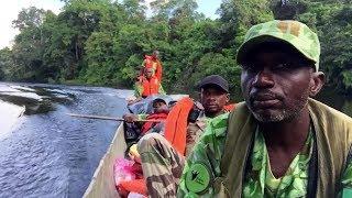 The Assault on Gabon’s Forest Elephants