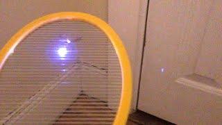 Electric Fly Swatter Battle: Executioner vs. Zap-It! vs. Elucto - Bug Zapper Review