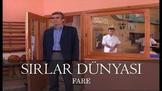 Sırlar Dünyası - FARE