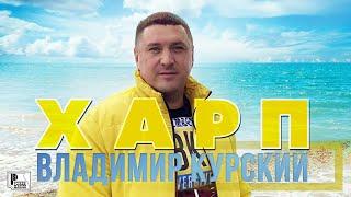 Владимир Курский - Харп (Сингл 2021) | Русская музыка