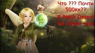 Black Desert online Фарм на сборе Сока!