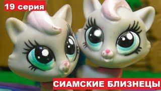 LPS Сиамские близнецы 19 серия