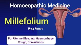 Millefolium Homoeopathic  Mother  Tincture Uses | For Haemorrhage,  Heavy Menstrual Bleeding