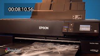 Epson SureColor SC-P800 Fine Art Inkjet Printer Demonstration | printerbase.co.uk