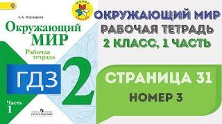 Окружающий мир. Рабочая тетрадь 2 класс 1 часть. ГДЗ стр. 31 №3