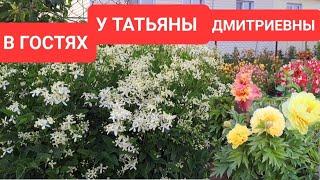 В ГОСТЯХ У ТАТЬЯНЫ ДМИТРИЕВНЫ. ПРОГУЛКА ПО ЧУДЕСНОМУ УЧАСТКУ.