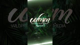 Wildpraize Music & Media #graphics #motion ￼#fresh #magic #freshcreativity