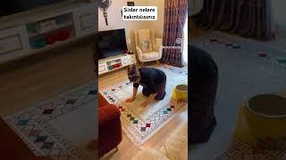 Temizlik takıntısı sizde ne derecede #temizlikbenimişim #shortvideo #youtube #temizlik