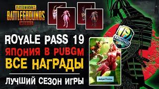 ЛУЧШИЙ СЕЗОН ROYALE PASS PUBG MOBILE! 19 СЕЗОН РОЯЛ ПАС ПУБГ МОБАЙЛ! ВСЕ НАГРАДЫ RP 19 SEASON!