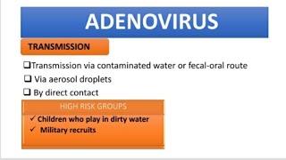 Adenovirus- transmission, clinical manifestations,diagnosis and  prophylaxis