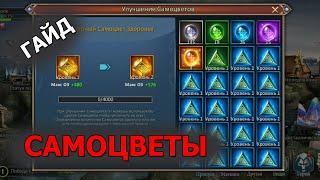 DUNGEON & HEROES САМОЦВЕТЫ. Как работают? Где достать? Какие стоит качать? Что дают их бонусы?