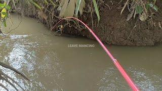 BIKIN EMOSI.!! MANCING DI SELOKAN PINGGIR SAWAH || SENAR PEDOT DI SAMBAR IKAN BABON BRO