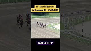 TAKE A STEP - 1ra Carrera Hipódromo La rinconada R16 #caballos #inh #hipismo #horse #parati #foryou