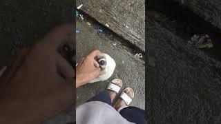 my cute friendly ️