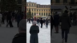 Holidays in Vienna#schoonbrun#vienna#austria#christmas#christmastree#travelling #shorts#europe#reels