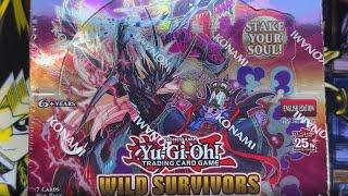 Yu-Gi-Oh! Wild Survivors Early Booster Box Opening