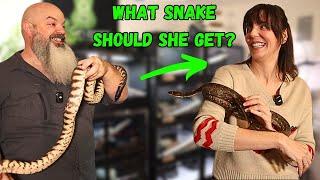 My Friend Wants a Pet Snake - What Species Should She Get?