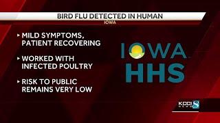 First case of bird flu in human confirmed in Iowa