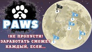 PAWS- проект на котором сможет заработать каждый,если...|аналог dogs или круче?!