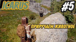 ICARUS #5 - Жилище для питомца, приручение животного