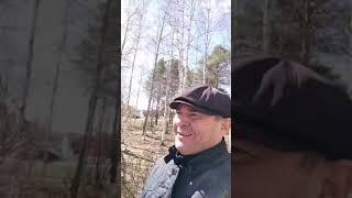 На встречу солнцу.