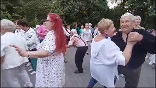 Чёрная смородина........22.09.24 Гомель парк Луначарского 