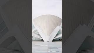 Must See in Valencia - City of Arts and Sciences #shorts #valencia #spain #spainbestplaces