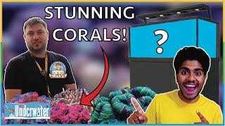 The BEST LPS Corals EVER & Gen 2 Red Sea Tanks! Nick's Aquarium Underwater Pet Expo TOUR!