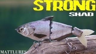 Perfection of the shad swimbait...Mattlures STRONG Shad