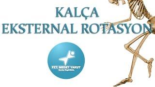 Kalça Eksternal Rotasyon ( Hip External Rotation)