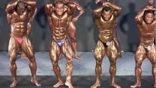 World 2012 - Mr Universe 2012 (Overall Champion)