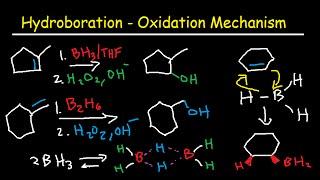 Hydroboration Oxidation Mechanism of Alkenes -  BH3, THF, H2O2, OH- Organic Chemistry